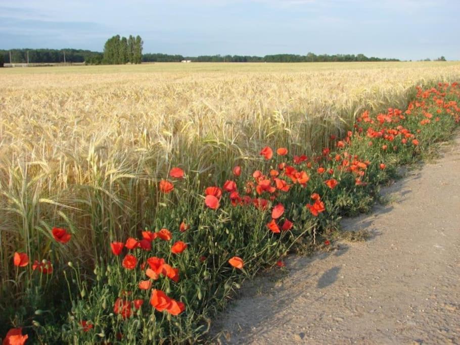Superbe Dans Corps De Ferme * Acheres-la-Foret